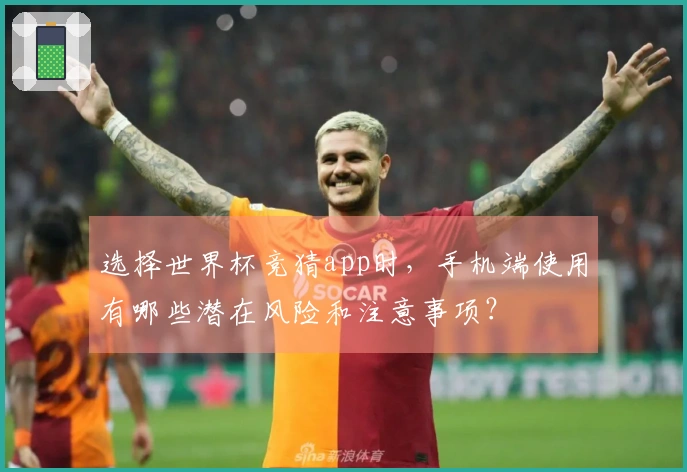 选择世界杯竞猜app时,手机端使用有哪些潜在风险和注意事项?