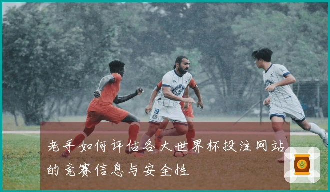 老手如何评估各大世界杯投注网站的竞赛信息与安全性